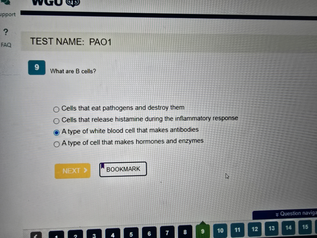 WGU D236 PATHOPHYSIOLOGY OA2